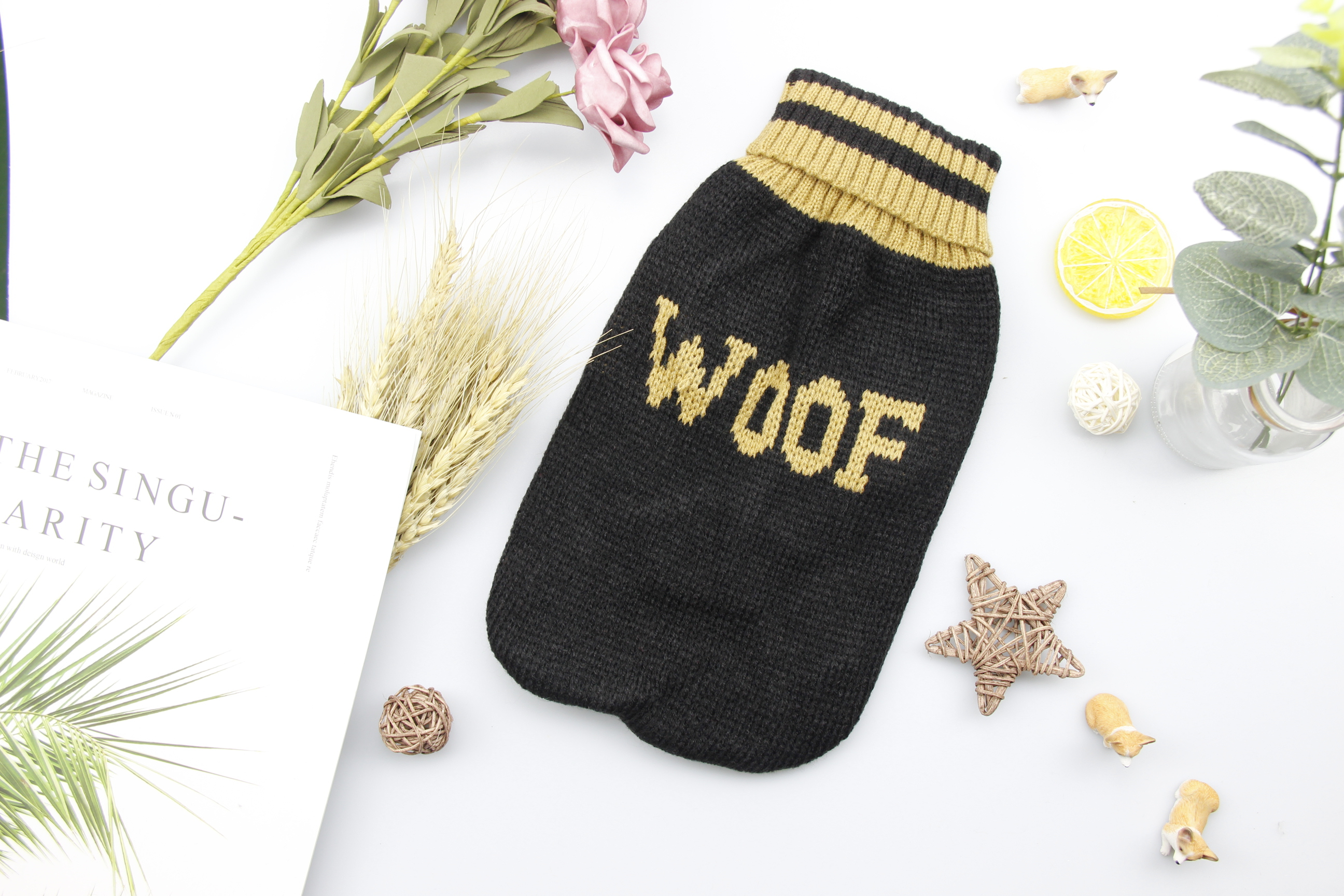Pet clothing  