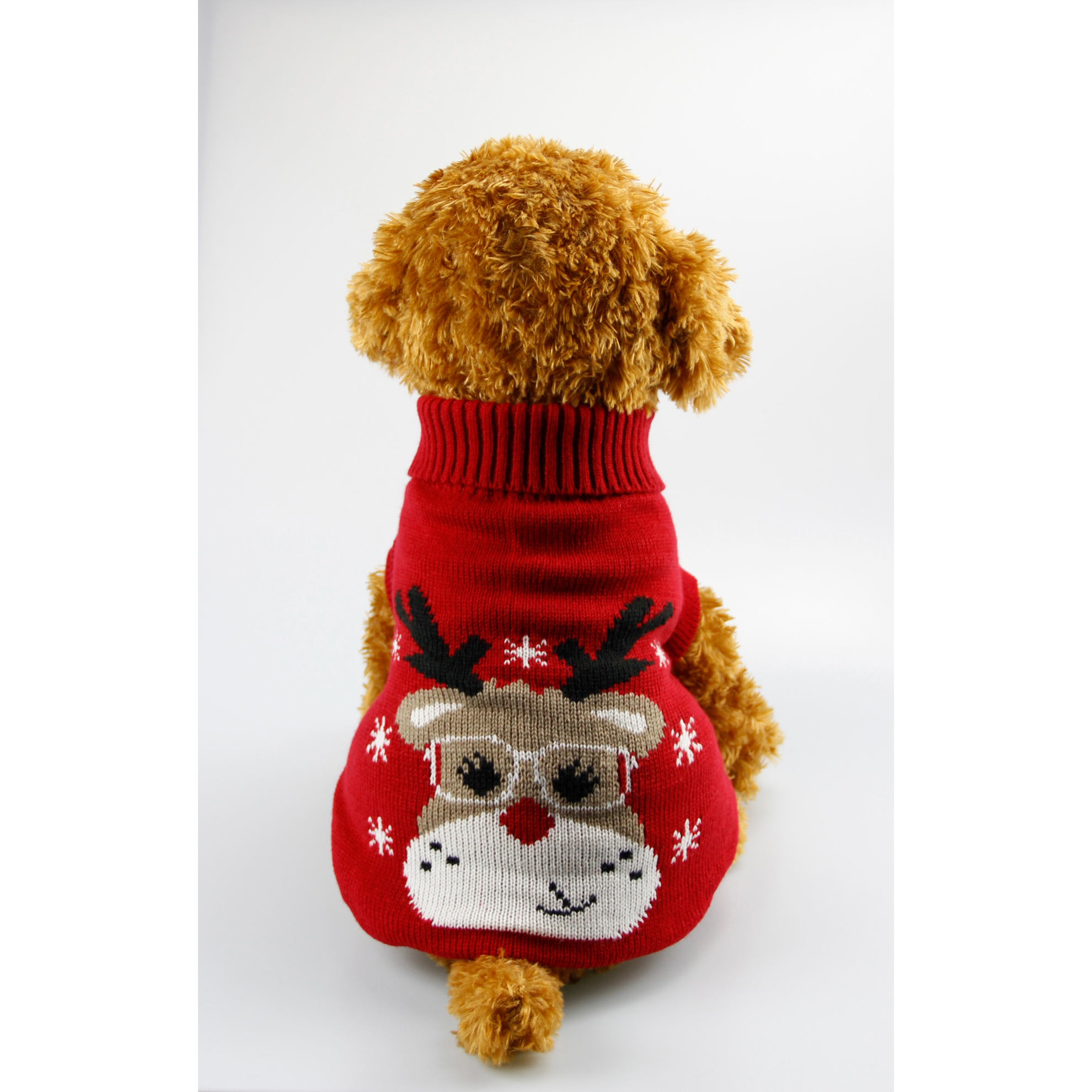 pet clothing  