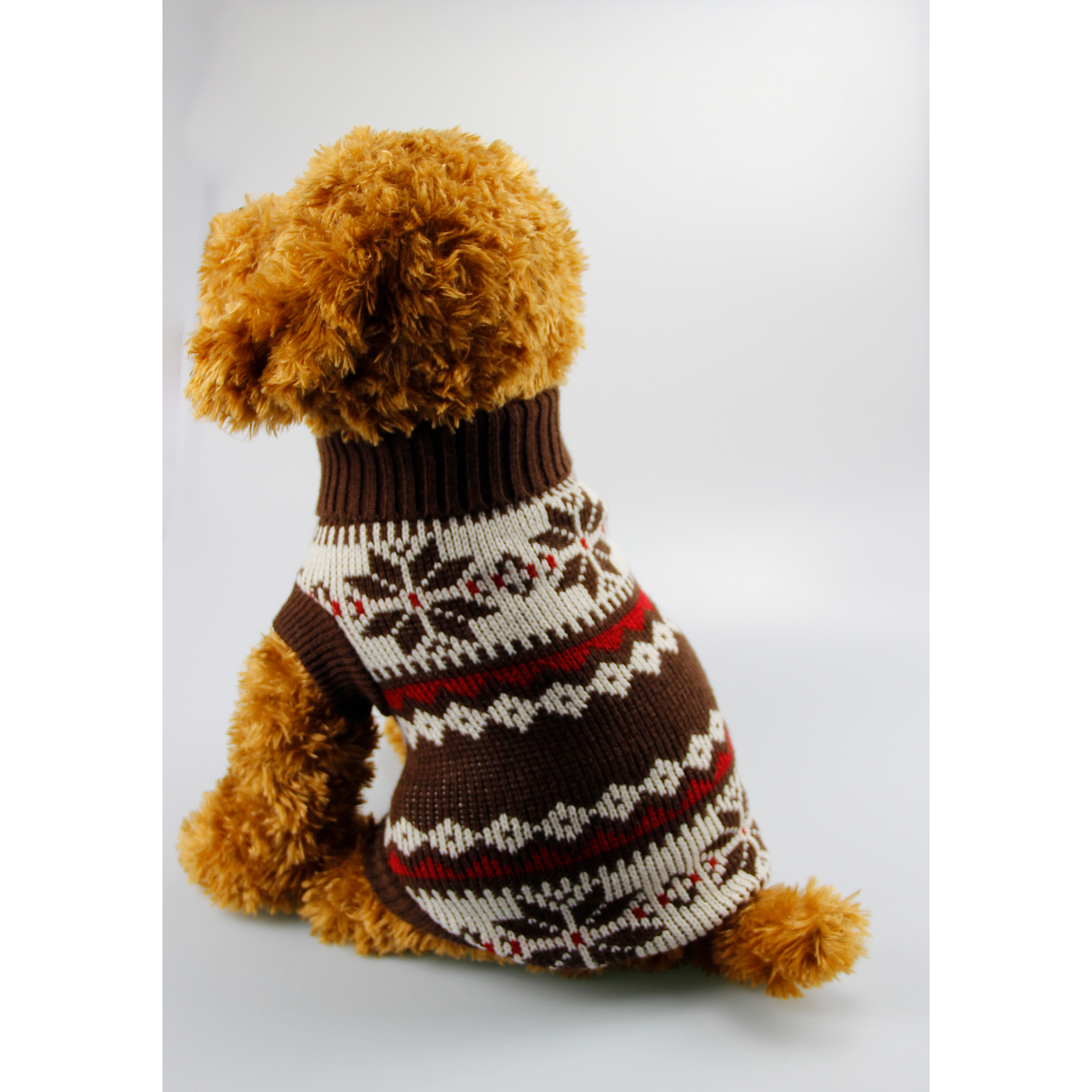 pet clothing  