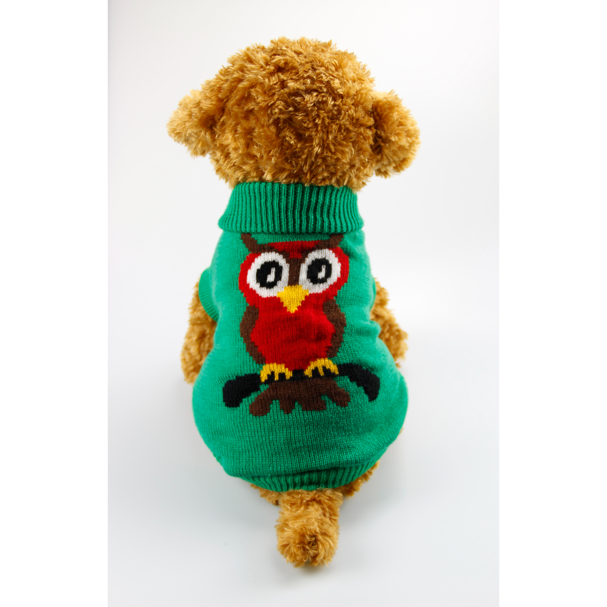 pet clothing  